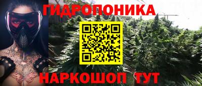 прущие грибы Янаул