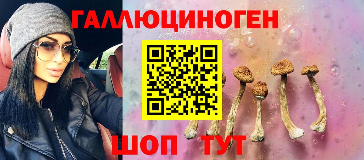 Псилоцибиновые грибы MAGIC MUSHROOMS  Вход с VPN  Нерюнгри 