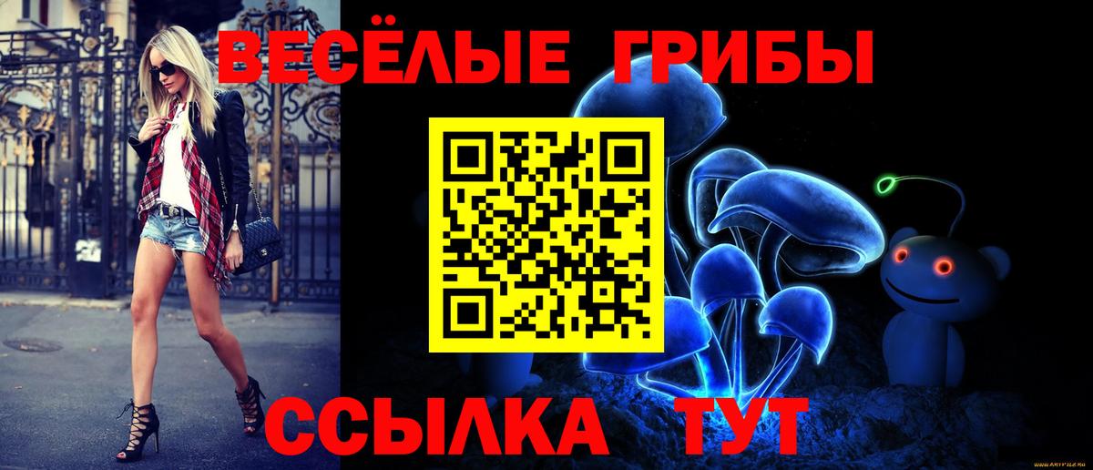 Псилоцибиновые грибы Cubensis Нерюнгри